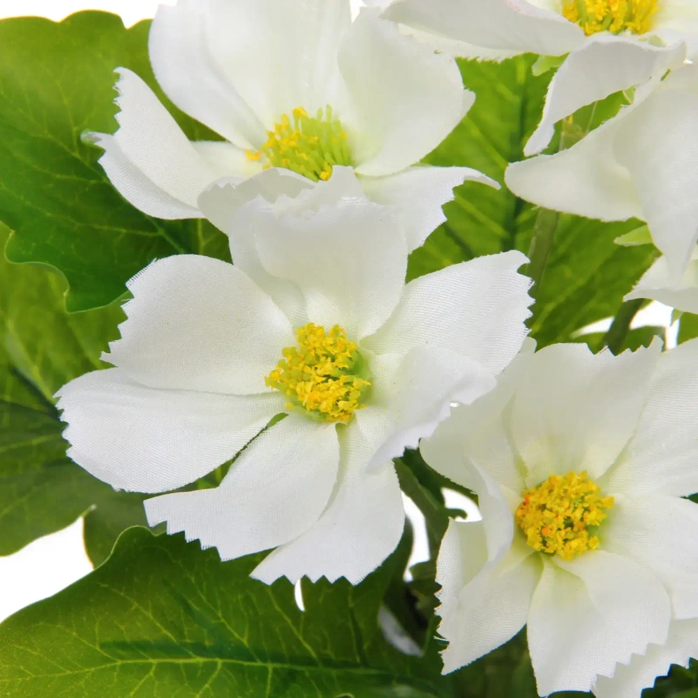 Цветочная композиция «Поцелуй лета» Космея белая 20см