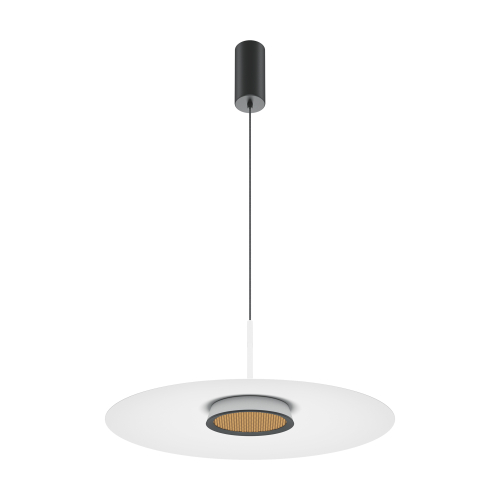 Подвесной светильник Maytoni MOD041PL-L15W3K1