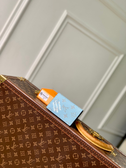 Louis Vuitton Pocket Organizer