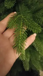 Елка с гирляндой встроенной «Юлия» (Литая хвоя) 270 см / 2,7 м