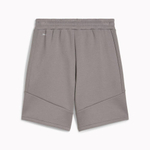 Мужские шорты PUMA EVOSTRIPE Shorts