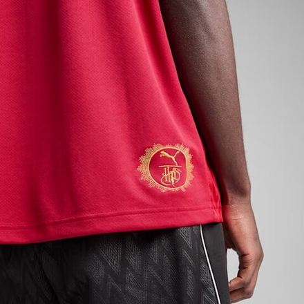 PUMA X HARRY POTTER ФУТБОЛКА СВОБОДНОГО КРОЯ, КРАСНЫЙ