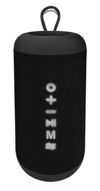 Портативная аудиосистема Soundmax SM-PS5012B(черный)