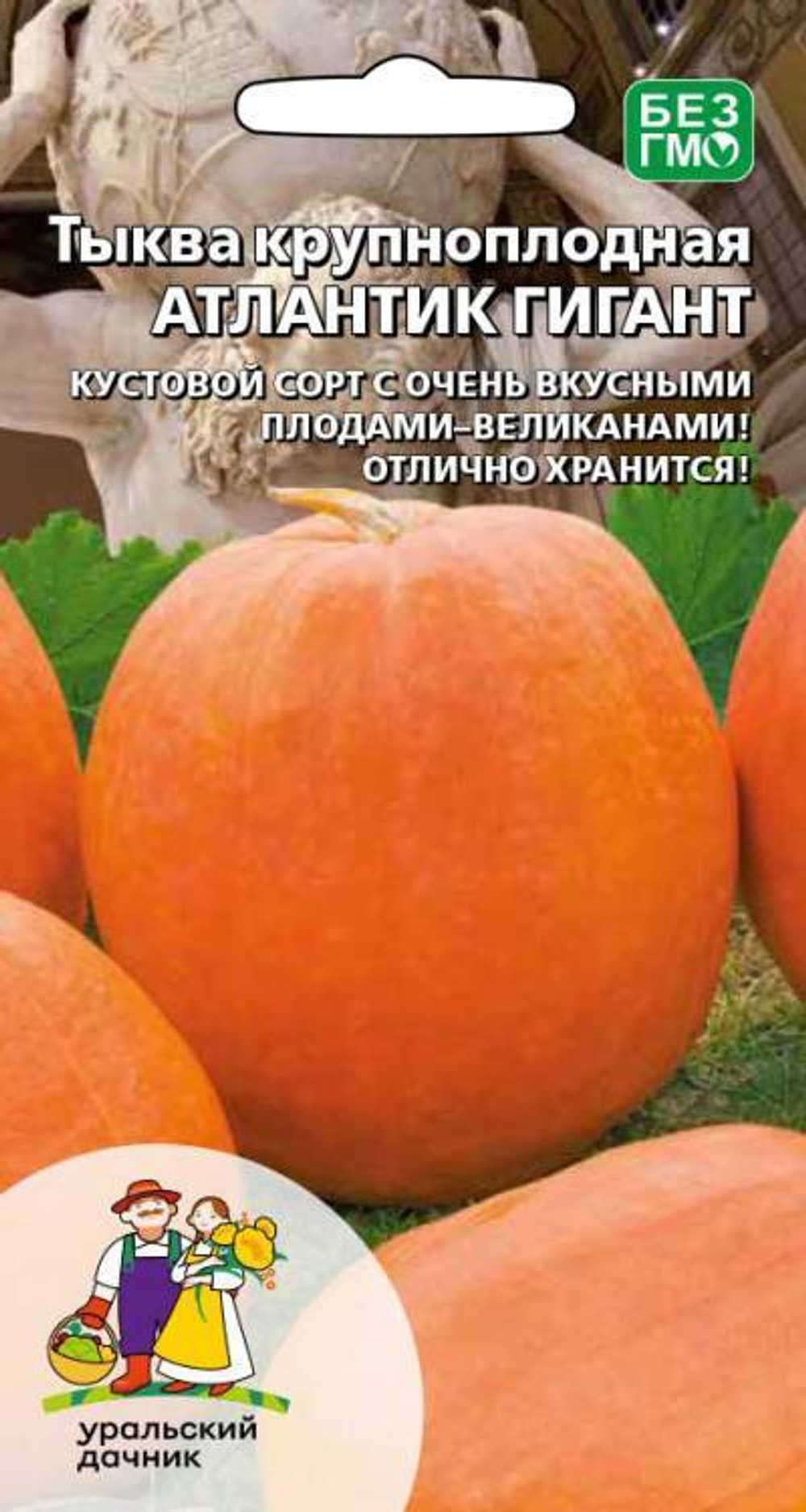 тыква крупноплодная Атлантик Гигант