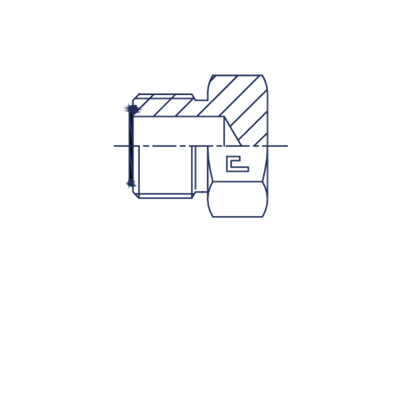 Заглушка V (Ш) ORFS 1.3/16