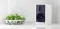 Martin Logan Motion 15i Matte White