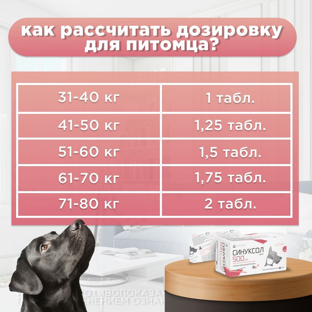 НИТА-ФАРМ Синуксол-нита 500 мг, таблетки, 10 шт. Амоксициллин.