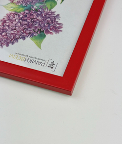 Фоторамка 21х30 см красная, без фактуры, арт. 2130.746772