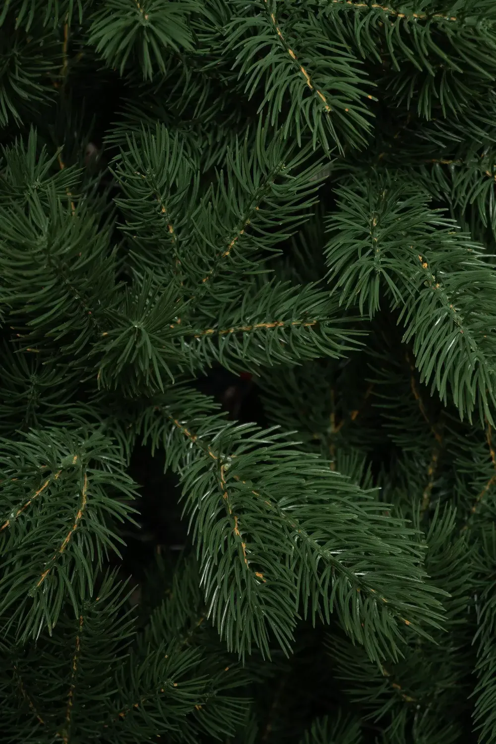 Ель искусственная «Приозерская» (Литая хвоя) 270 см / 2,7 м