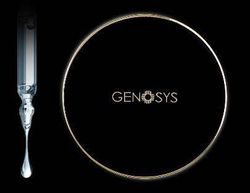 Genosys Ухаживающий BB-кушон с тонирующим эффектом SKIN CARING BLEMISH BALM CUSHION, 15 гр + 15 гр, оттенок IVORY