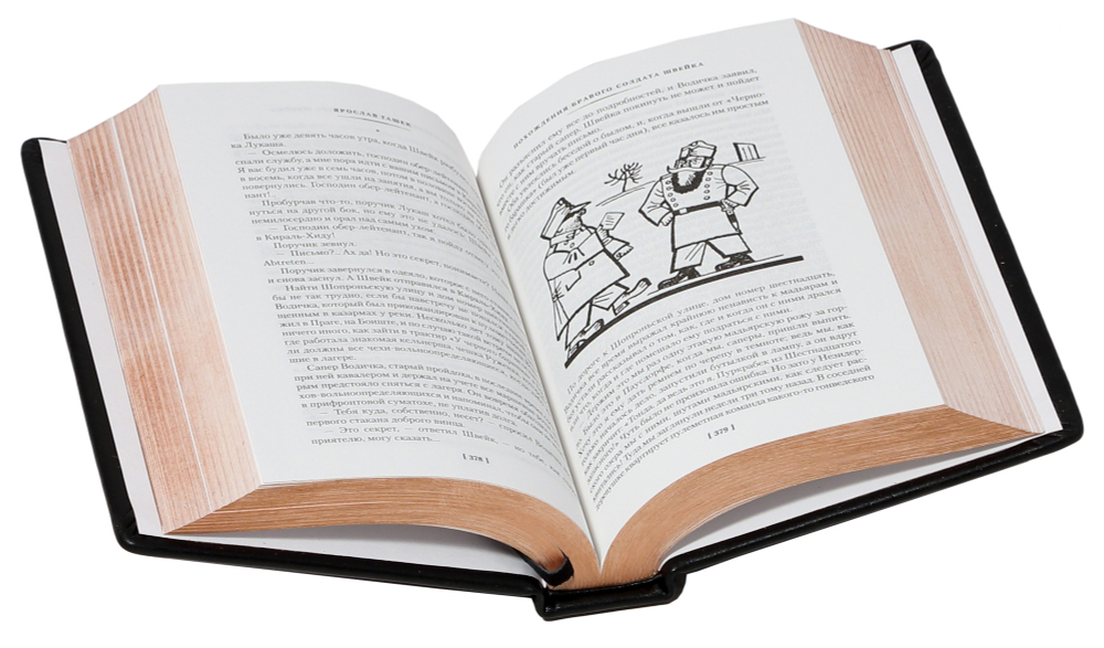 Похождения бравого солдата Швейка