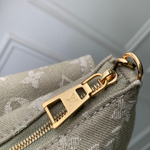 Louis Vuitton Pochette Accessoire Cargo