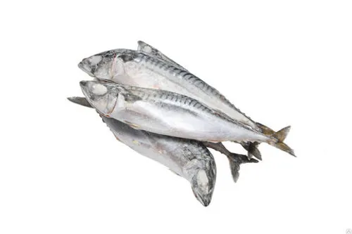 Скумбрия 400-600 (1/25*12,5) 08/2025 г.  FO174