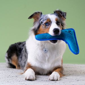 Игрушка Mr.Kranch для собак мелких и средних пород Бумеранг с пищалкой 22х19х4,5см, синий Игрушка Mr.Kranch для собак мелких и средних пород Бумеранг с пищалкой 22х19х4,5см, синий