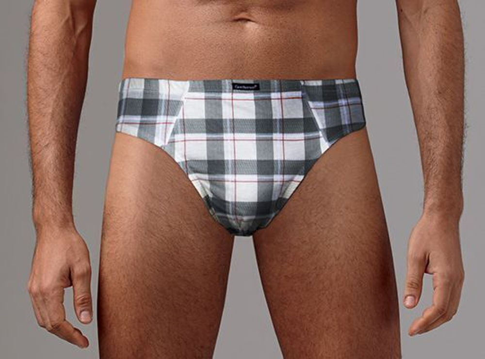 Комплект из 2 мужских трусов-слип с контрастным принтом в клетку (Размер: XL) (Цвет: разноцветный)