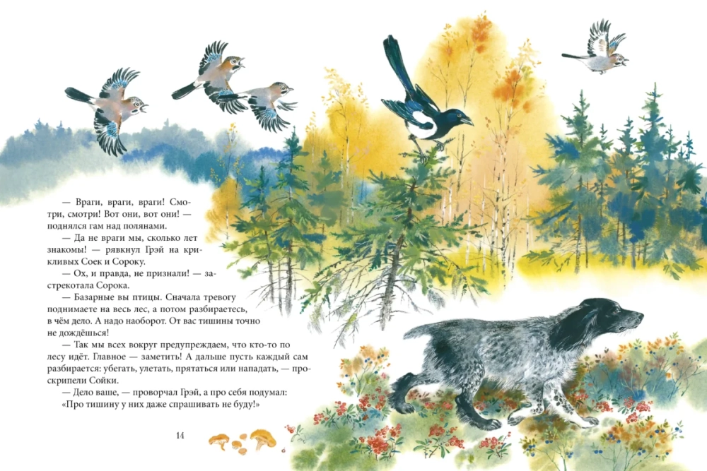 Чаща любит тишину