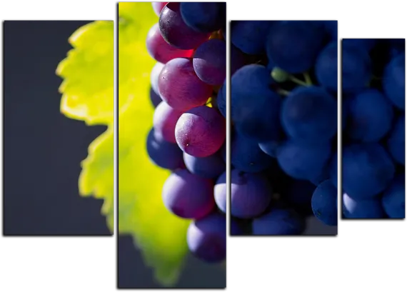 Модульная картина "Черный виноград"