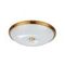 Потолочный светильник Odeon Light Walli Pelow 4956/5