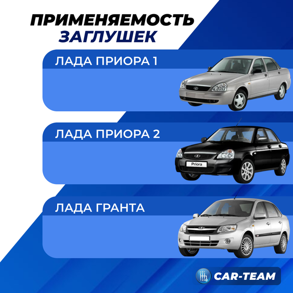 Декоративные заглушки поворотников SE, черный лак (2шт)