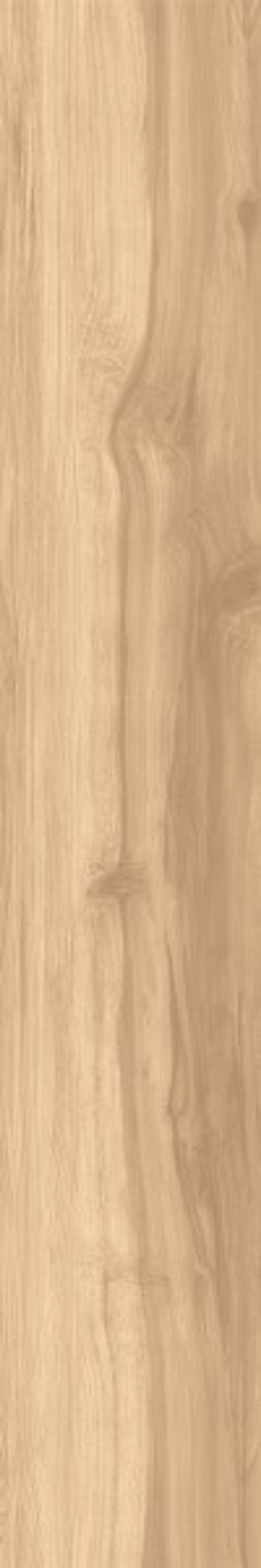 FOSSIL WOOD BRICH CW-RT09-B