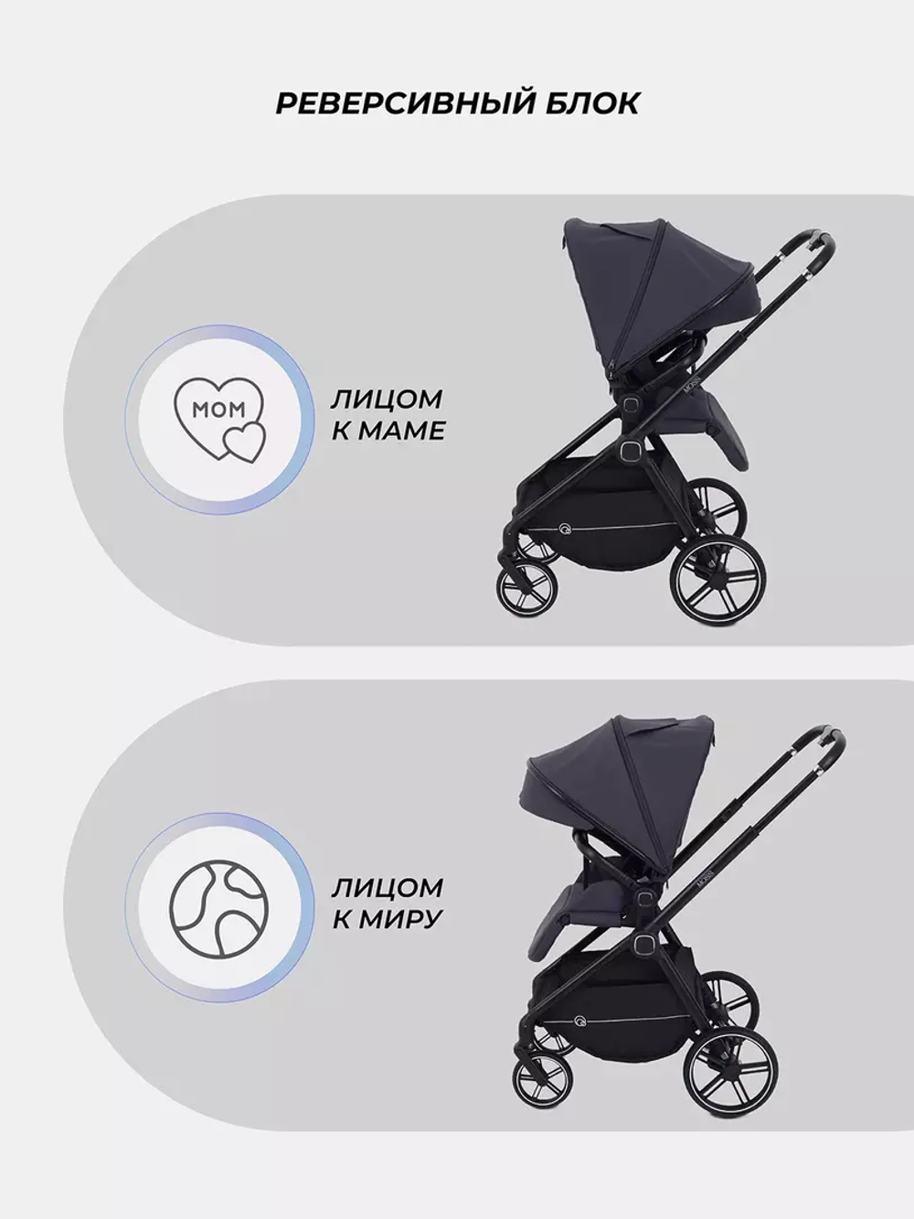 Прогулочная коляска Rant Moss 2025