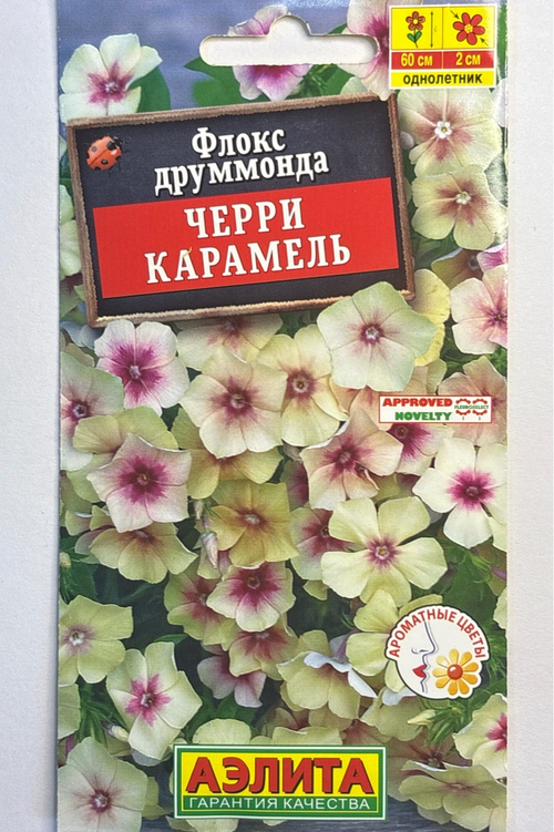 Флокс друммонда Черри карамель СМЦ-818