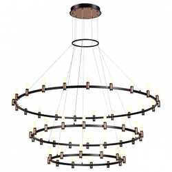 Подвесная люстра Odeon Light 5009/204L