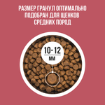 Bowl wow корм сухой для щенков средних пород с индейкой, рисом и клюквой