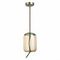 Подвесной светодиодный светильник ST Luce Ozzio SL6108.323.01