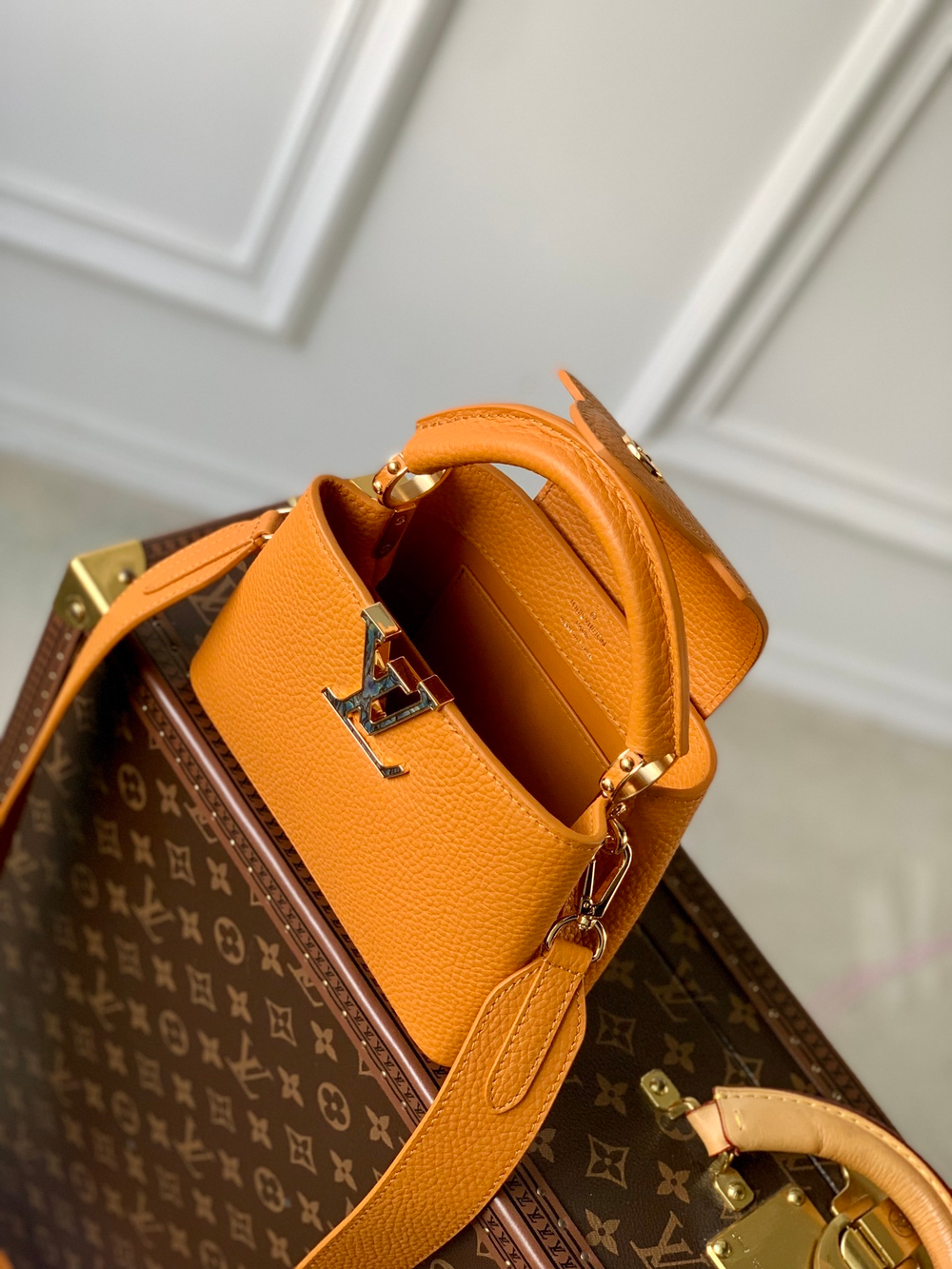Louis Vuitton Capucines Mini