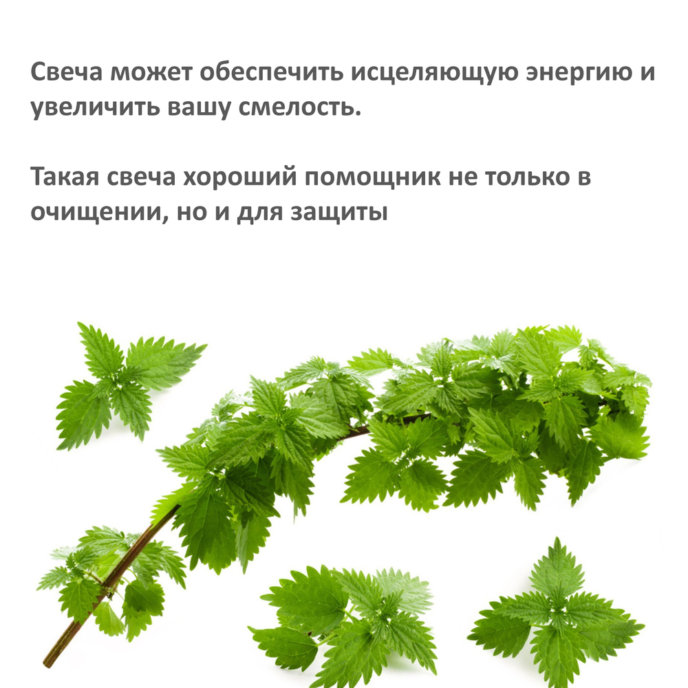 Свеча черная с крапивой на снятия негатива и защиту, 18х2 см