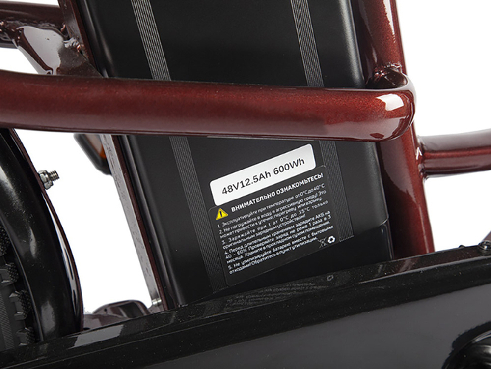 Электровелосипед GREEN CITY e-ALFA LUX