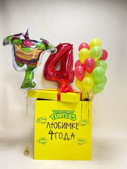 Коробка с шарами Черепашка Ниндзя Рафаэль