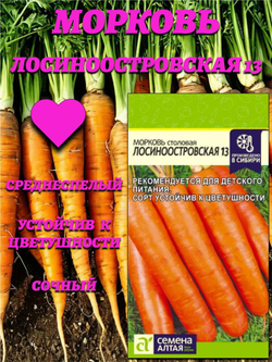 Морковь Лосиноостровская 13 (2 гр). Семена Алтая