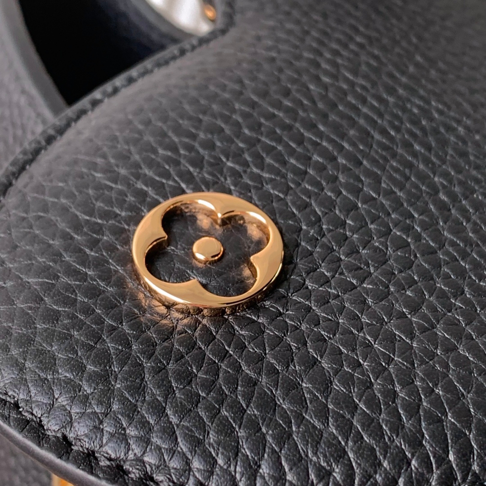 Louis Vuitton Capucines (3 sizes)