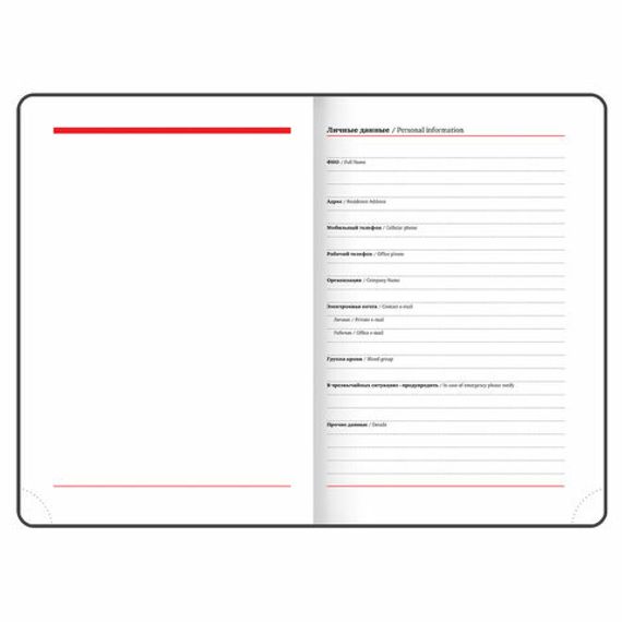 Gündəlik/Ajanda/Ежедневник/Diary Ежедневник недатированный А5 VISTA Secret