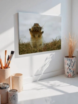 Картина на стену 40 X 50 Суслик