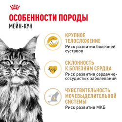 Сухой корм ROYAL CANIN Maine Coon Adult Корм для взрослых кошек породы Мэйн Кун - 0,4 кг