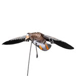 Белолобый гусь махокрыл Duck Mania