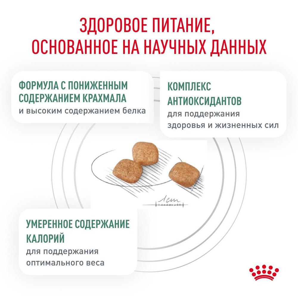 Royal Canin Diabetic DS 46 Feline Корм сухой диетический для взрослых кошек при сахарном диабете 350 г