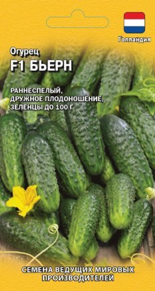 Огурец Бьерн F1 5шт Голландия