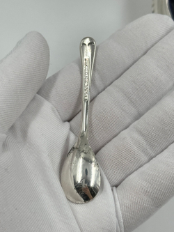 Горчичница