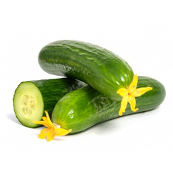 Аврора F1 семена огурца партенокарпического (Гавриш)