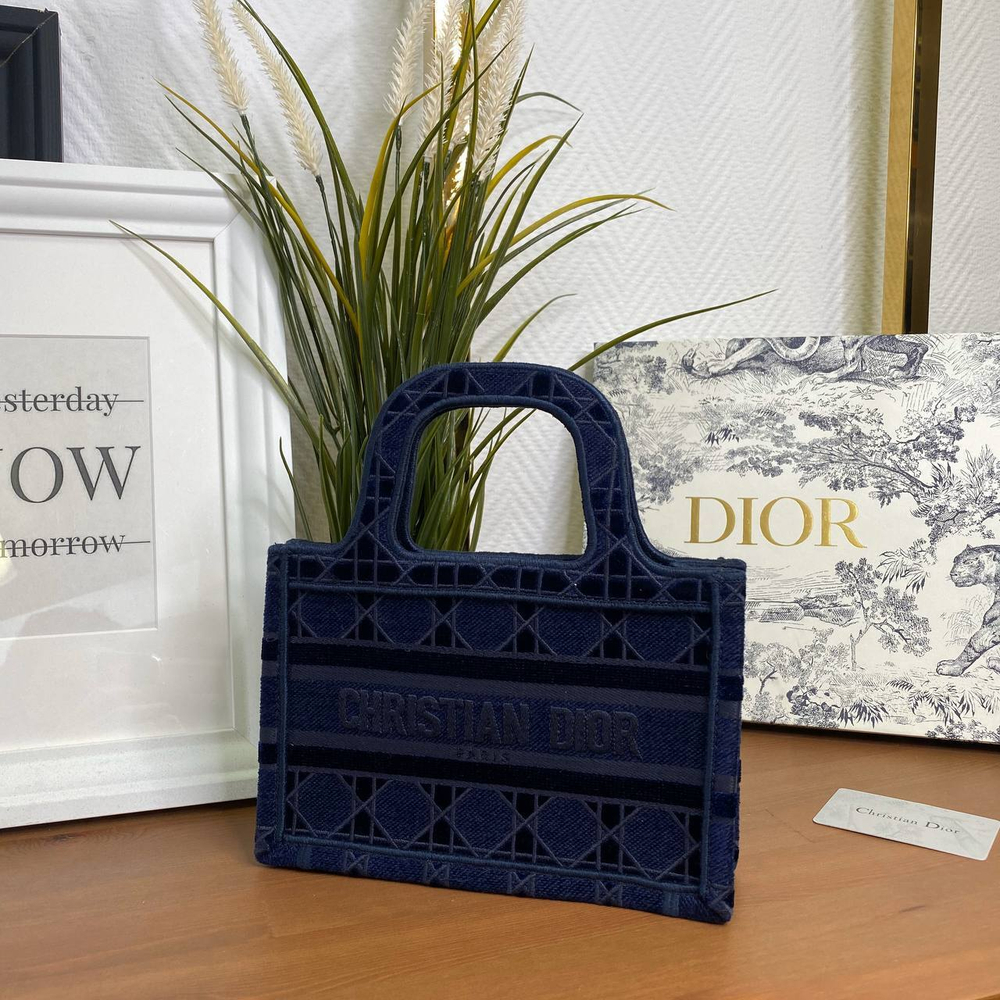 Dior Book Tote Mini