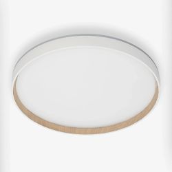 Citilux ETALON CL750400R LED RGB Светильник с пультом Белый+Бук