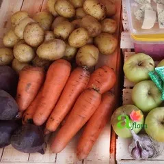 korzina2-1.jpg korzina2-1.jpg