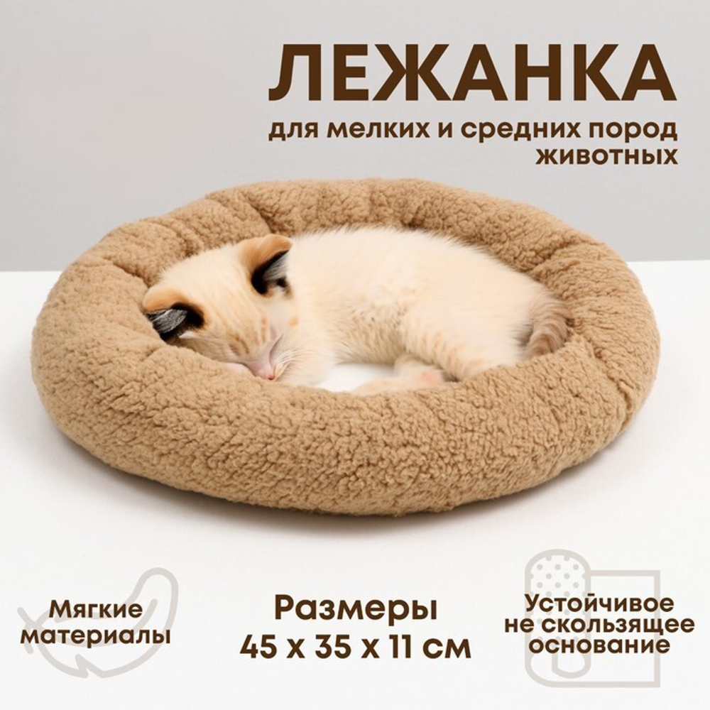 0310746d8adc25150bd9de5c40d3ed4d