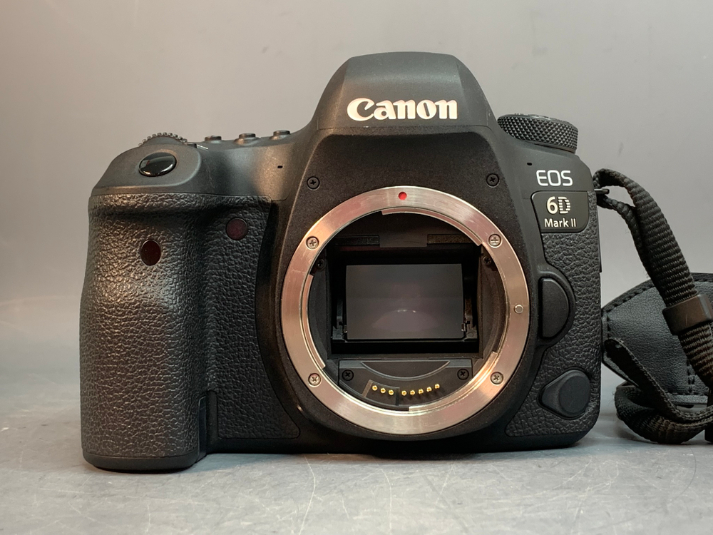 Canon EOS 6D Mark II 3.135 кадров