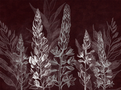 Коллекция SUMMERTIME