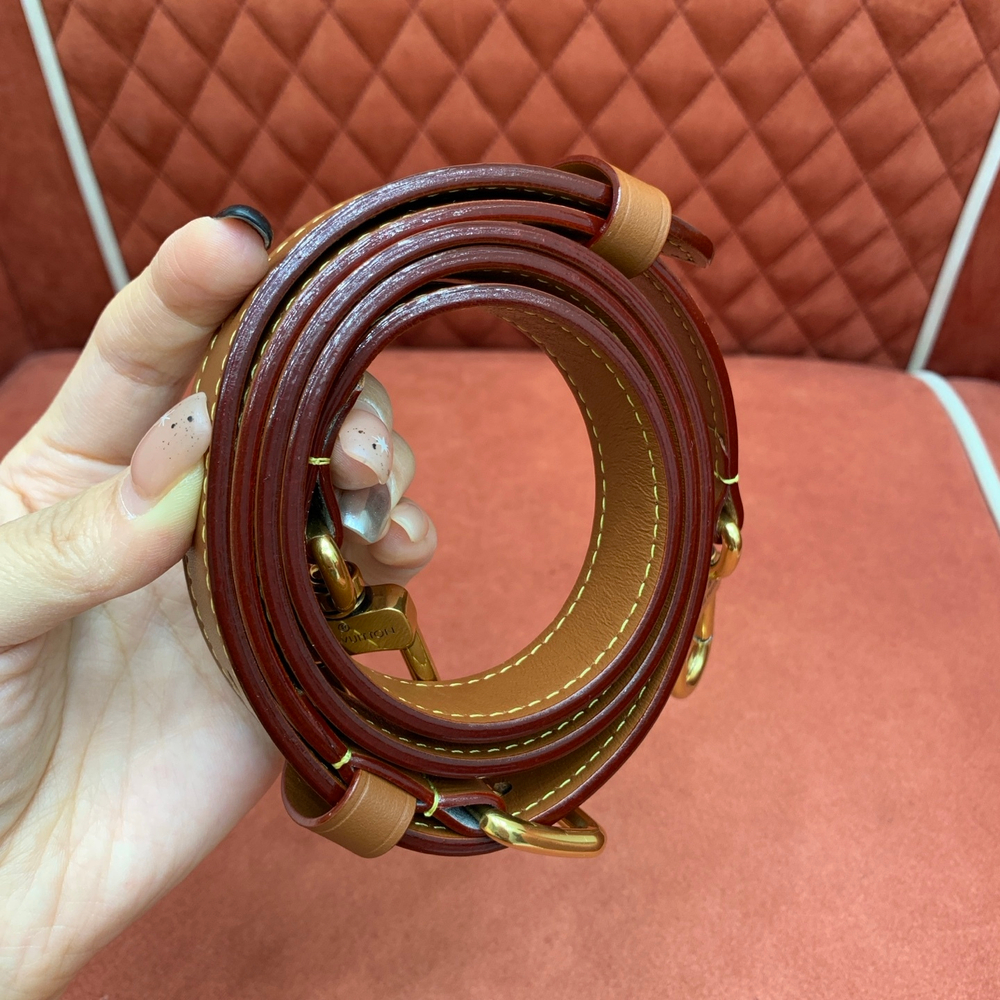 Louis Vuitton Speedy P9 Bandouliere 30